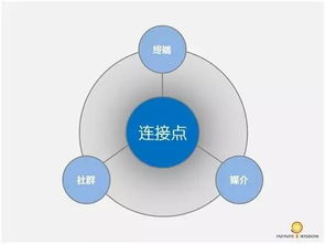 黃楊之韌 初創企業營銷戰略設計要點解析